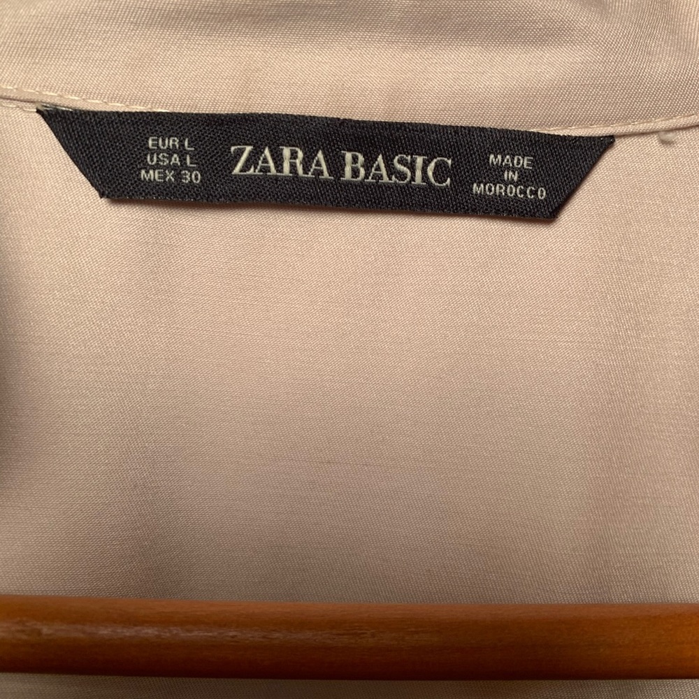 Zara Basic Nude Dress - Picture 5 of 5